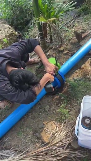 Let Your Areca Nut Trees Drink Comfortably - Smart IoT Irrigation