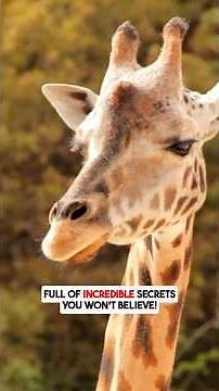 🦒 Mind Blown! The SECRET Superpowers of the Giraffe! #giraffe #wildlifefacts
