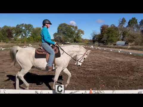 Danielle Fuller. Ranger. WDAA Basic 4