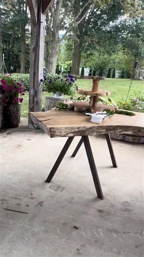 2.8K views · 177 reactions | A bit of our wood on display and in use here at the Wolf Lair. Dinner for 36 at four 6'+ diameter Silver Maple tables. Lewisburg WV "Witness Tree" White Oak for the serving table. Massive Pin Oak slab for the desert and drink table. Beautifully spalted Sweetgum slab for the waste table. About 10 other species elsewhere for decorations. Wilbur Wolf III Amy Tuckwiller Wolf Wilbur Craig Wolf | Wolf Creek Live Edge | Facebook
