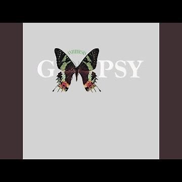 Travelin' Minnesota Blues (Go Gophers)