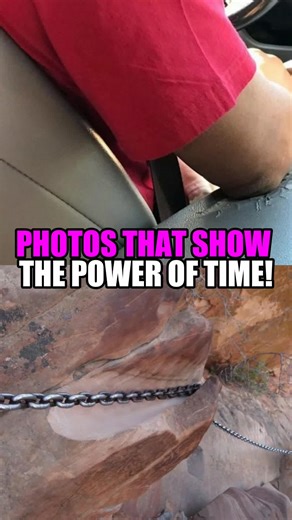 Clan of the Curious on TikTok