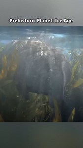 Yes, I do still have Prehistoric Planet: Ice Age on the mind. Why do you ask? #prehistory #paleontology #fossil #iceage | Dino Guy