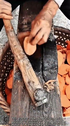 Tuber Cutting Manual Work Tool Using Traditional Hand Cutter #worktool