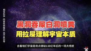 爱因斯坦没敢讲：黑洞吞屎，白洞喷粪，虫洞是下水道？！