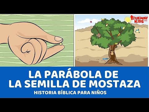 La parábola de la semilla de mostaza - Historia bíblica para niños