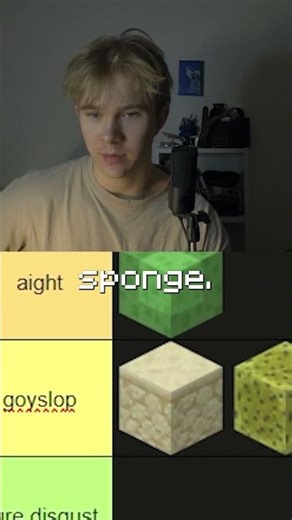 Tier Listing Minecraft Blocks On How They Taste...