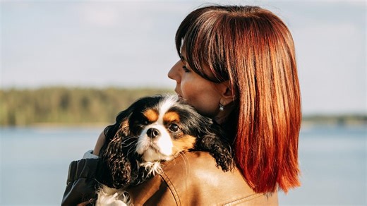 6 Comforting & Calm Dog Breeds That Instantly Reduce Stress