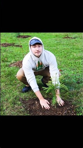 MrBeast Can’t Stop SMILING While Planting Trees! 🌱😍 (Pure Happiness Overload)