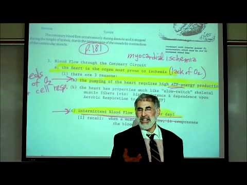 CARDIAC PHYSIOLOGY; PART 1 by Professor Fink.wmv
