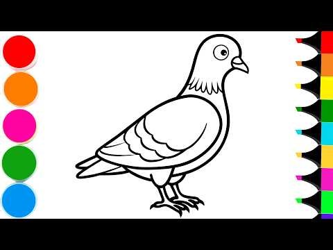 How to Draw Cartoon Pigeon | Drawing and Coloring a Cute Pigeon
