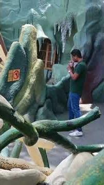 Things to do in Crazy house Dalat Vietnam