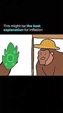 Monkeys Explain Inflation Better Than Most Economists! 🍌📉
