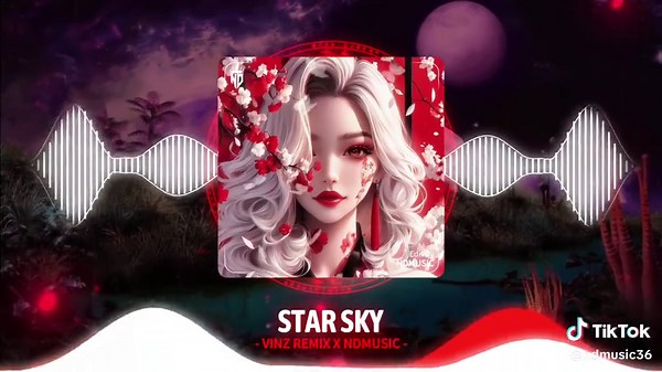 Star Sky - Vinz Remix: Nhạc Remix Hot Tik Tok 2024
