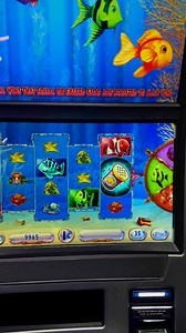 2.3K views · 35 reactions | Goldfish bonus朗 | Slot Machines ltd. | Facebook