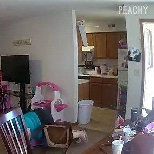 22M views · 76K reactions | This is why we love security cameras  | Peachy | Facebook