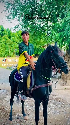 Polo Lover's Guide to the Sport