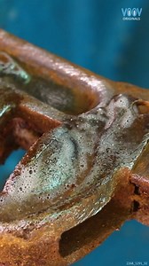 9.9K views · 91 reactions | How to Restore Your Tools #ToolRestoration #DIYTools #ToolMaintenance | Voov Restoration | Facebook