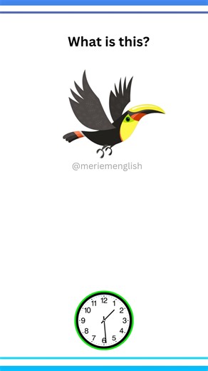 part 22| English vocabulary #learnenglish #english #vocabulary #quiz