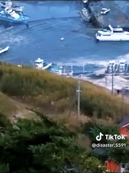 Moments Before the 2011 Japan Tsunami