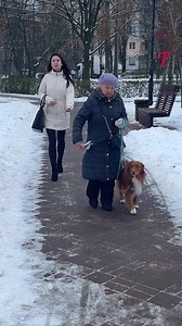 2.2M views · 10K reactions | Dogs double as loyal friends and swindler deterrents #FabiosaSketch #Fabiosa #dog #respect #stories | Tips & Tricks | Facebook