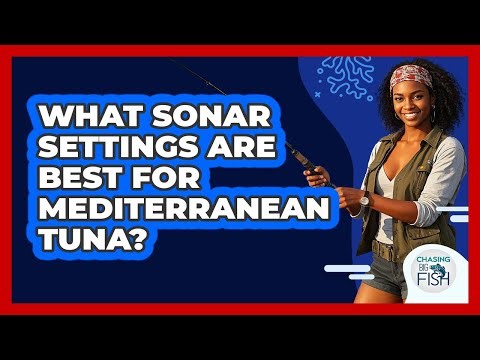 What Sonar Settings Are Best For Mediterranean Tuna? - Chasing Big Fish