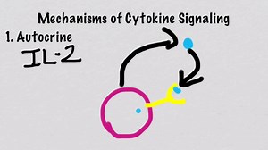 【免疫学】细胞因子信号机制（Mechanisms of Cytokine Signaling）英文无字幕