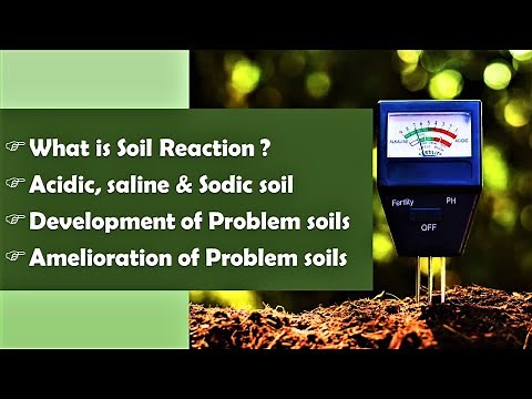 Soil reaction | Acidic, saline and sodic soil | Problem soil | Amelioration of problem soils