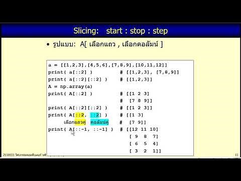 101-2562-Python: 11.2 Array indexes and slices
