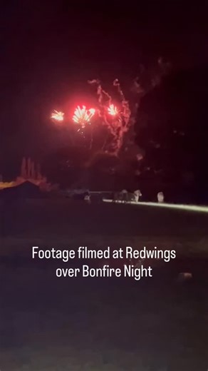 Redwings Horse Sanctuary on Instagram: "This #WorldAnimalDay there's one quick, simple thing you can do to help protect animals from harm ❤️ Redwings Campaigns and Policy Manager Helen Whitelegg explains how signing our petition asking for the maximum noise level of fireworks to be reduced, could make a real difference for horses and many other animals too. Sign the petition by clicking the link in our bio."