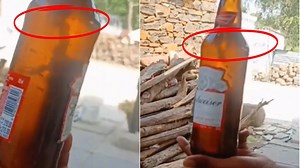 Lizard In Budweiser Beer? Telangana Consumer's Shocking Video Claim Is Viral