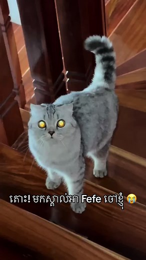 Potion of Weakness Recipe Explained