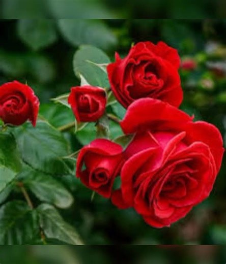 ❤️❤️❤️❤️❤️❤️❤️❤️❤️