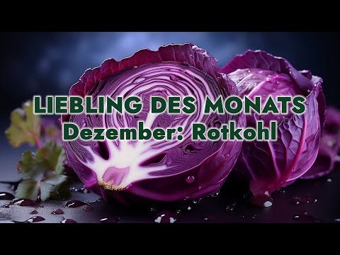 So vielseitig kann Rotkohl sein 🥬💜 Diese Rezepte musst du probieren!