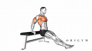 Tricep Dips on Bench