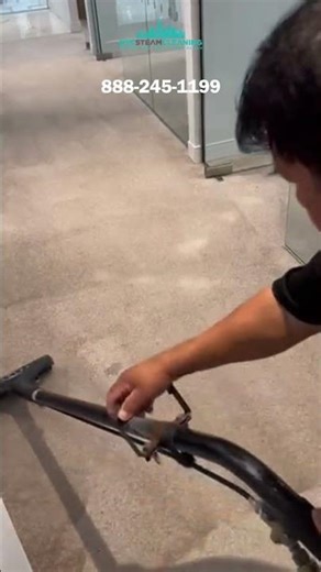 Professional Carpet Cleaning in NYC | Deep Steam Extraction Service