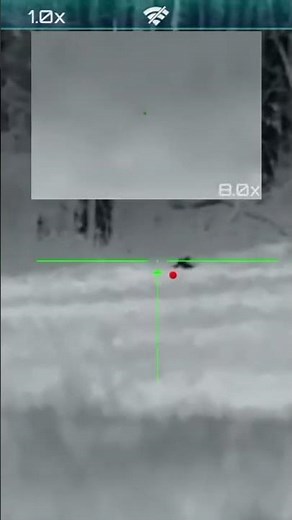 First bobcat ever with 22-250 w/Rix L3R!