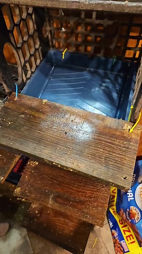 DIY Rollaway Nesting Boxes for Chickens