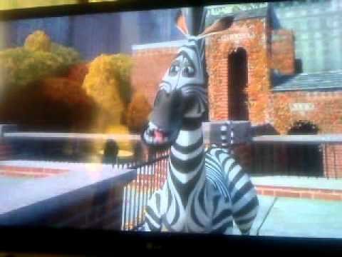 Madagaskar Marty's birthday wish