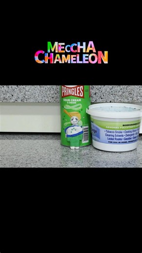Meccha Chameleon vs Me Animation! [clay stop motion]