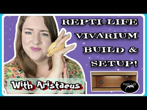 Vivarium Build and Setup ||How I Built a Repti-life Vivarium|| ~Ellie Snake Lady~