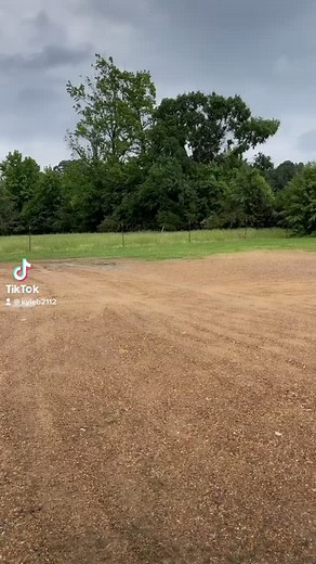 #trucking #truckinglife #asphaltcowboy #feedhauler #pigfarm