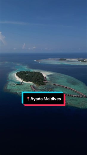 Ayada Maldives: Luxusurlaub im Paradies