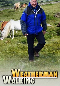 Weatherman Walking - streaming tv series online