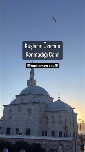 “İstanbul’da Kuşların Konamadığı Cami! Bunun Sebebini Biliyor musunuz?