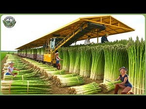 Modern Agriculture Machines on Another Level – Farmers Haul 680 Million Tons In Biggest Harvests