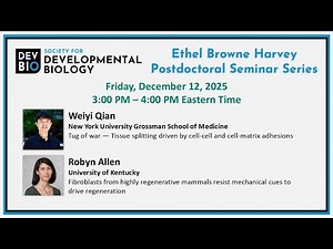SDB Ethel Browne Harvey Postdoctoral Seminar Series - Weiyi Qian and Robyn Allen