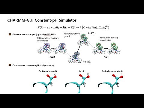 1 . Constant-pH Simulator - Overview