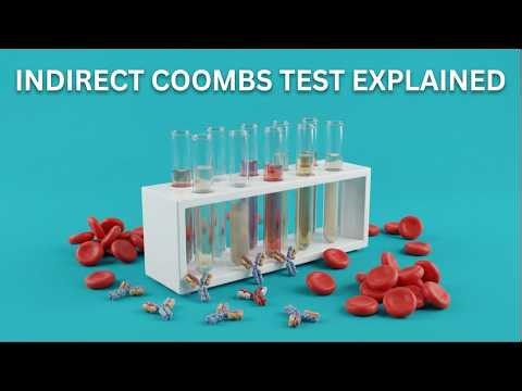 Indirect Coombs Test Explained | Antibody Screening Test | Blood Group Compatibility, Cross Matching