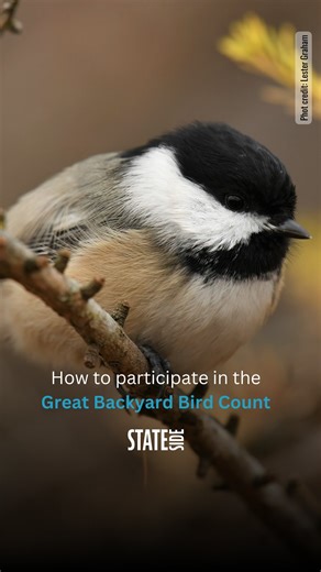 Michigan Public | 🐦The Great Backyard Bird Count begins Friday, Feb. 13-16! 🐦‍⬛ Learn more at BirdCount.org 🦤You can log your bird sightings on the eBird... | Instagram